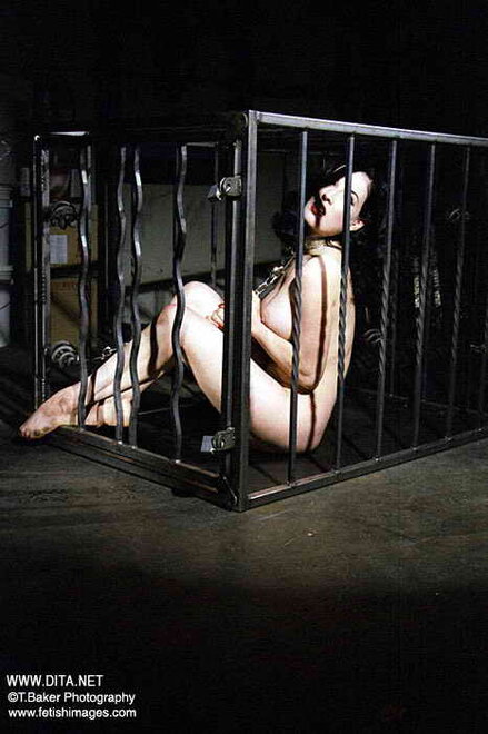 Dita von Teese 4 (3)