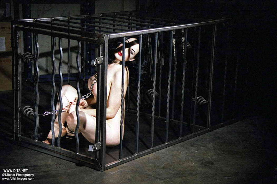 Dita von Teese 4 (16)