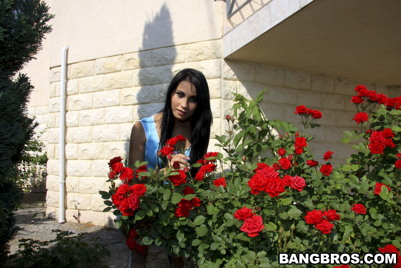 amateur photo bf5995114