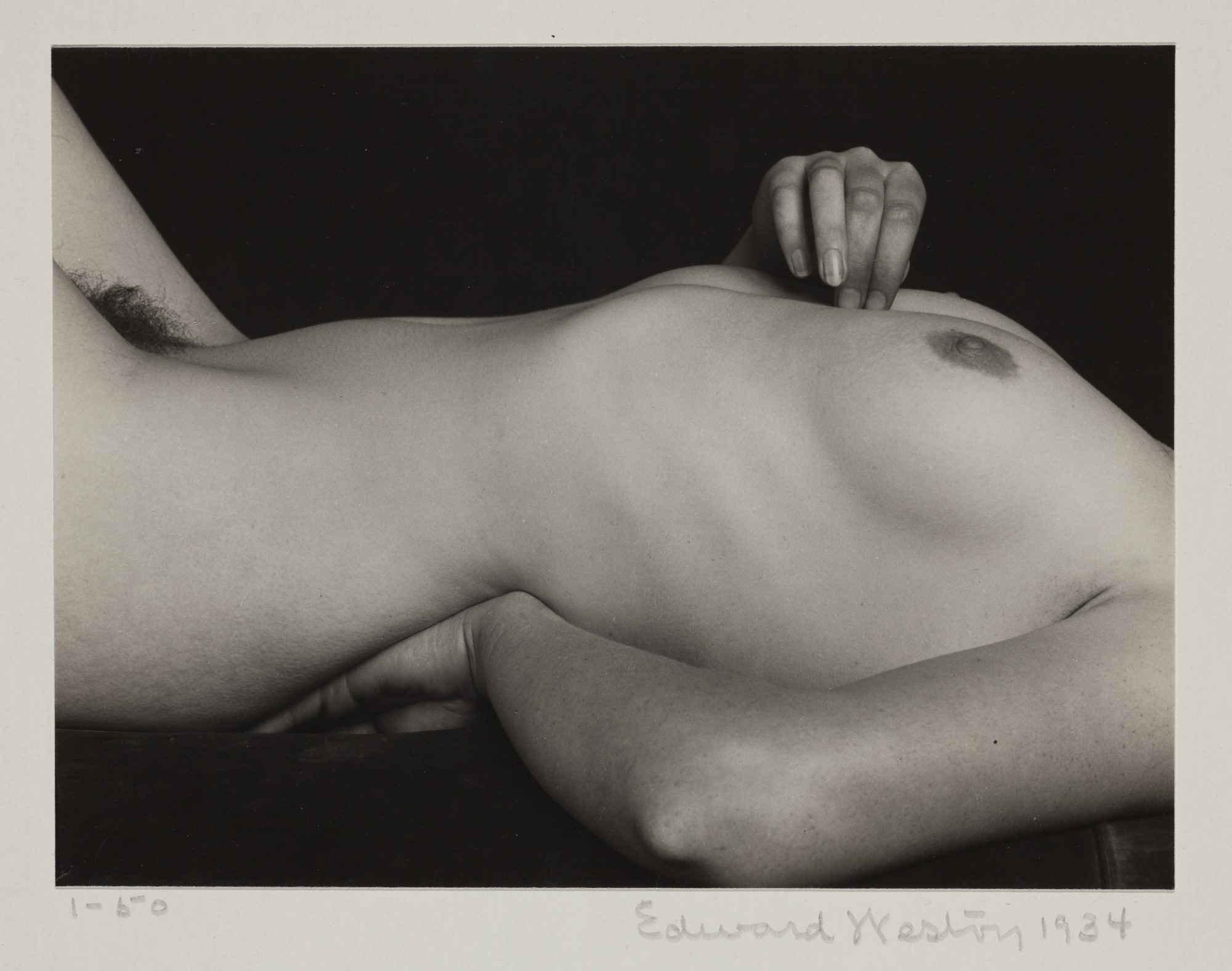 Edward Weston Still Life Photography nude pic, sex photos Edward Weston Sti...