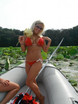 photo amateur Lilly Pads