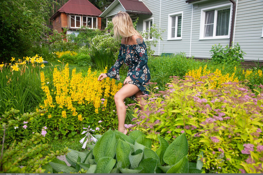 Domai_Sarika-6_Sarika_medium_0003