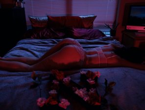 アマチュア写真 Bed of roses