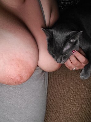 photo amateur Titties and a kitty ðŸ˜º