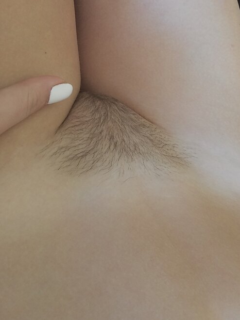 Hairy_Pussy_01_hairy_64586_e10a1ed5c15ceb4a4815eaa1379af575_l