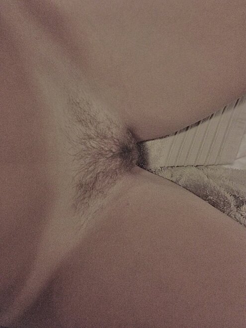 Hairy_Pussy_01_hairy_64589_653ce83d90b579ec899905c1b1c2eb89_l