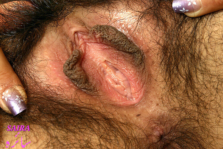 Hairy_Pussy_01_Hairy_Pussy_000