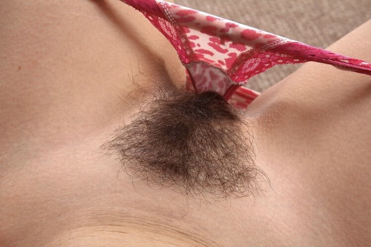 Hairy_Pussy_01_Hairy_Pussy_001_216