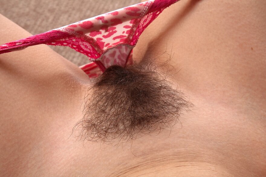 Hairy_Pussy_01_Hairy_Pussy_002_85