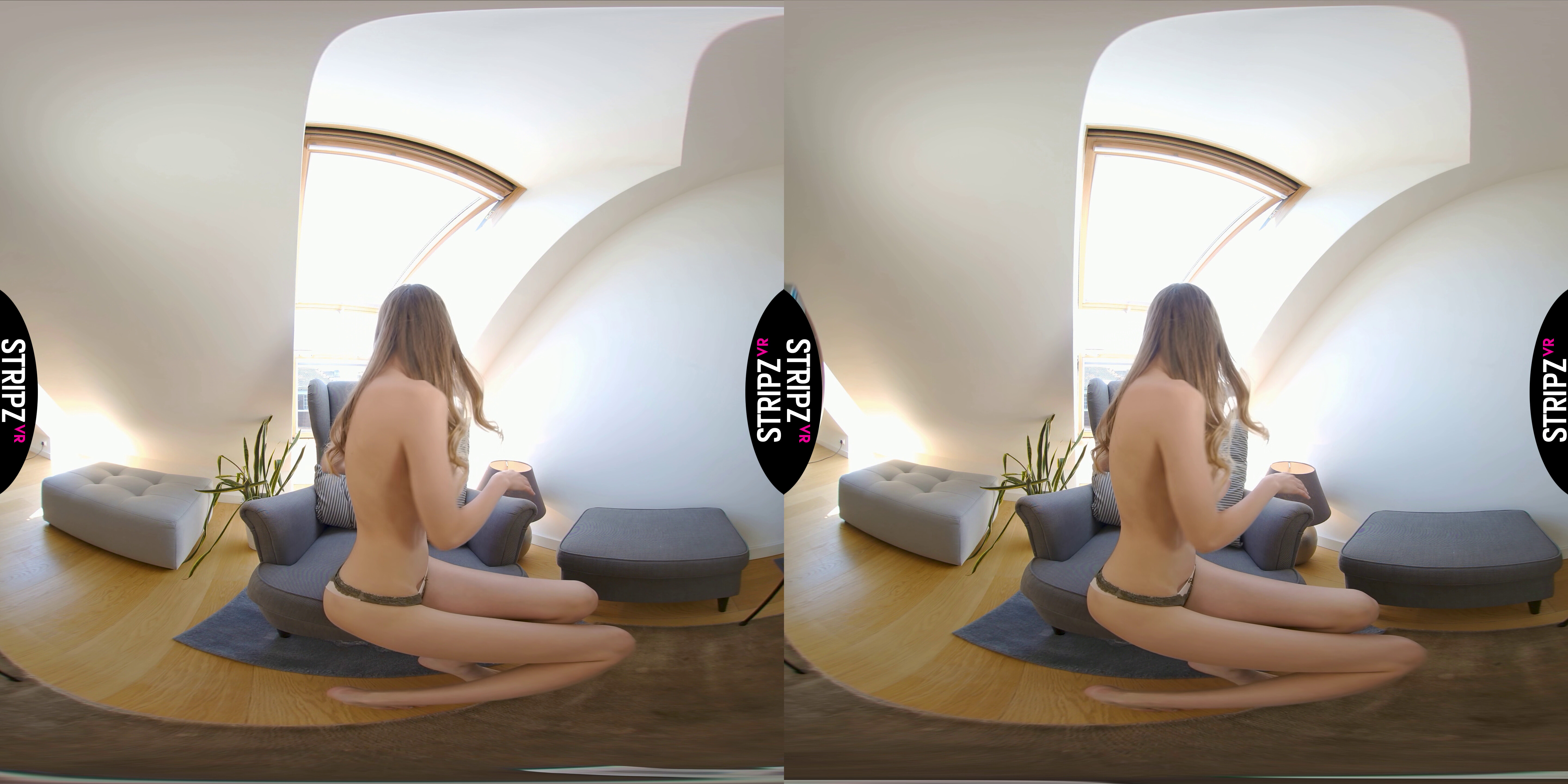 amateur photo scene03401