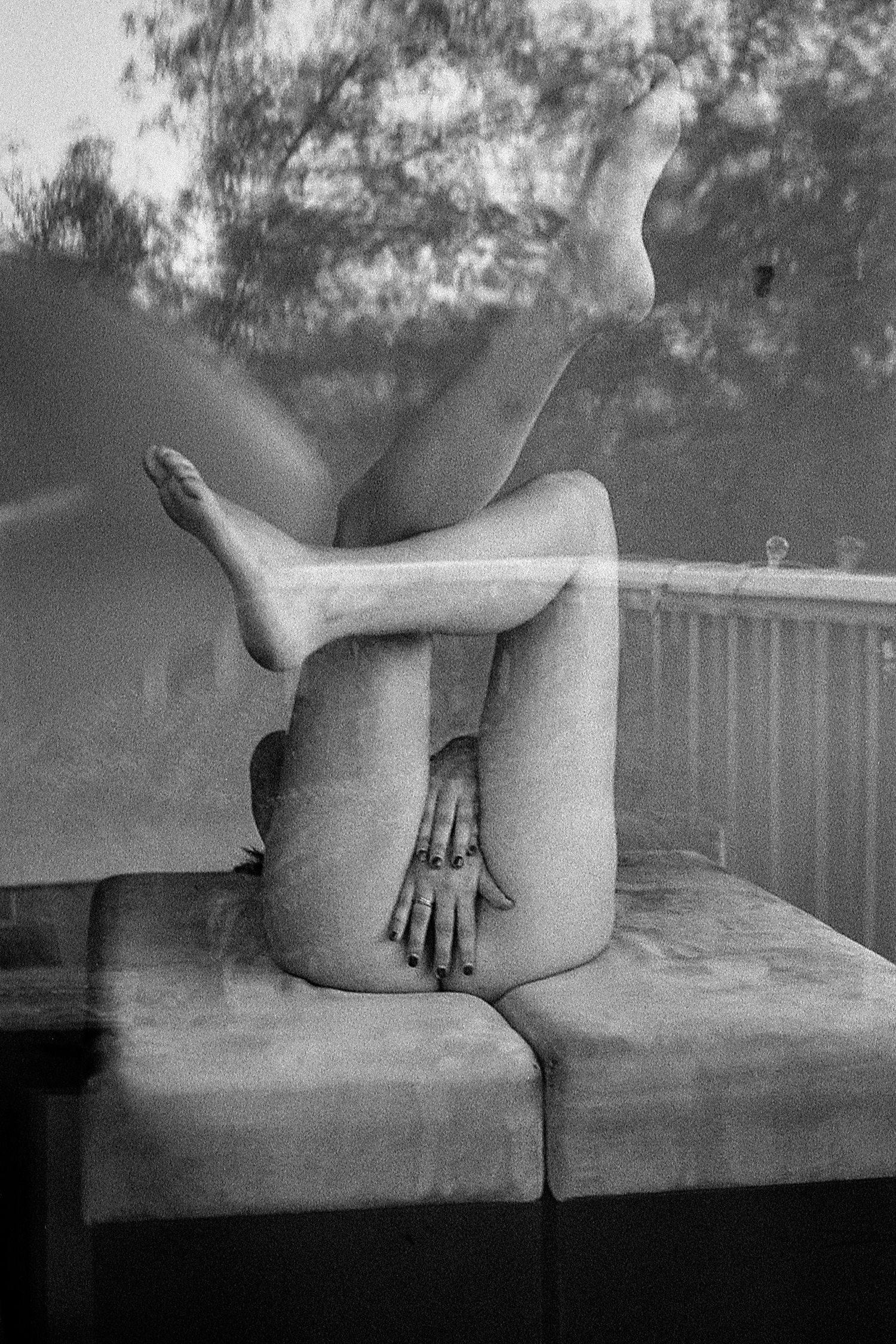 Emily labowe