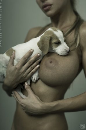 foto amateur Skin Canidae Dog Joint 
