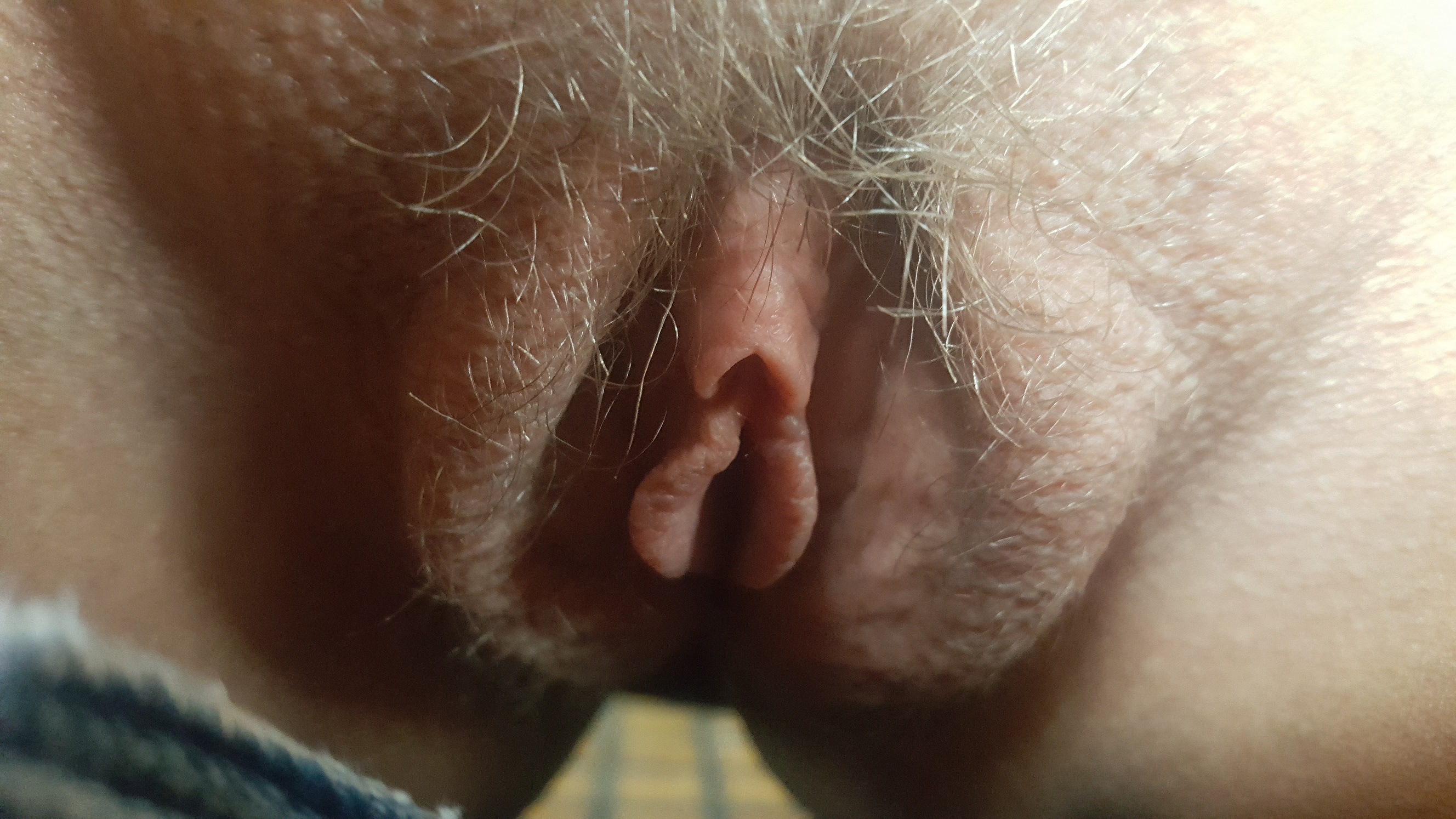 Beautiful Hairy Pussy Solo