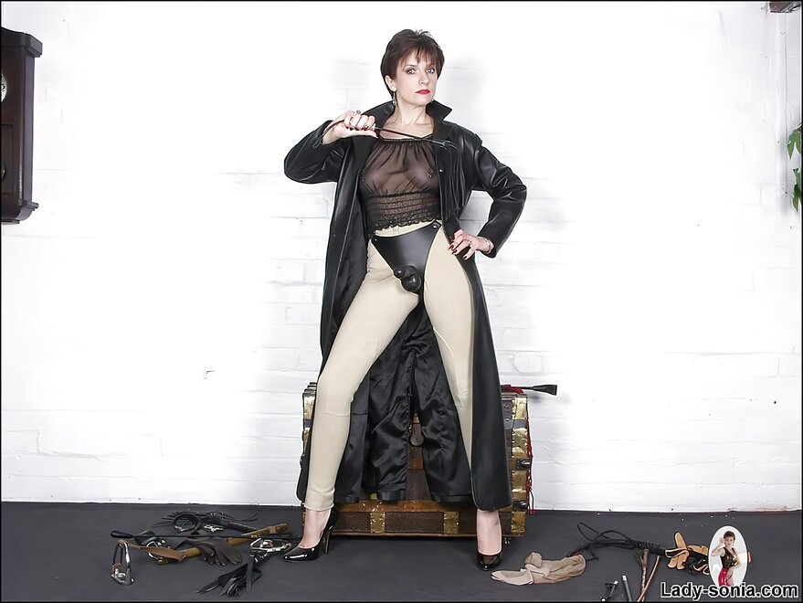 enlarge-hedgehogbigun - Lady Sonia - 0062 - strapon-sonia-13-0731-001-16409477134-o-enlarge