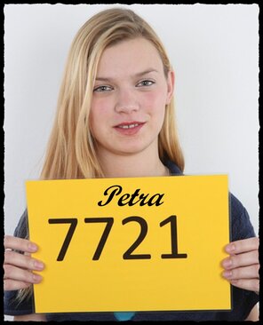7721 Petra (1)