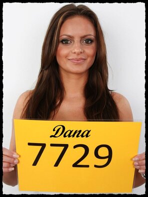 7729 Dana (1)