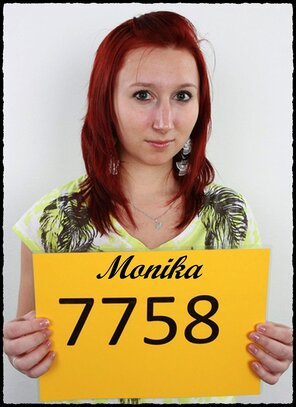 7758 Monika (1)