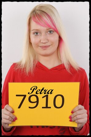 7910 Petra (1)