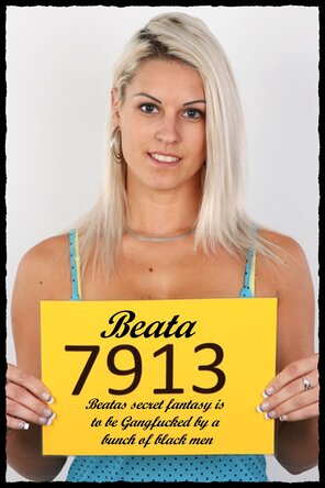 7913 Beata (1)