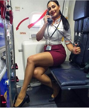 Flight Attendants 00349