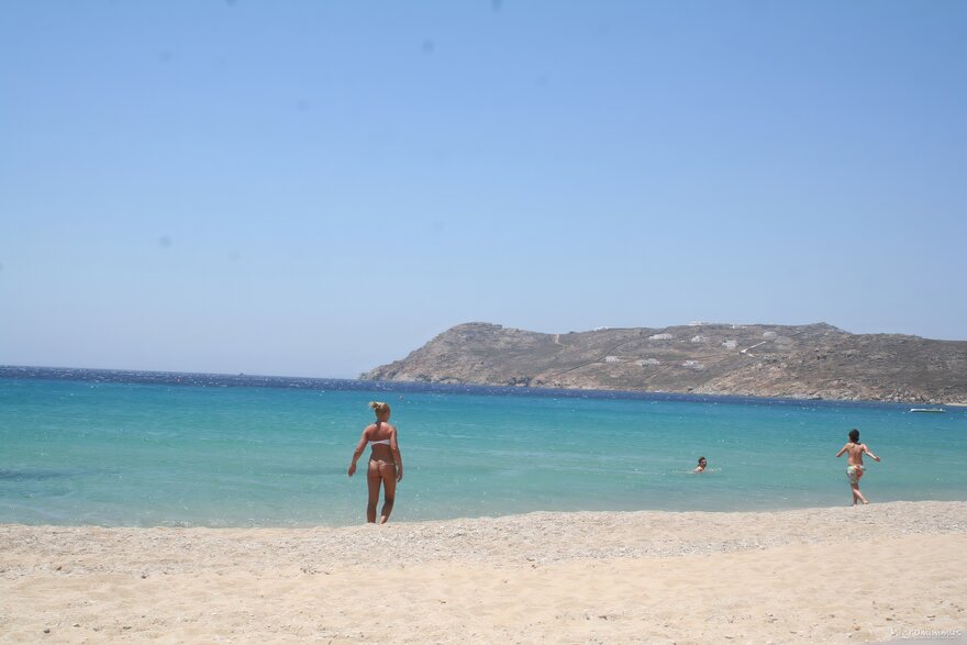 MicroOrcidInPublic-037-topaz-denoise