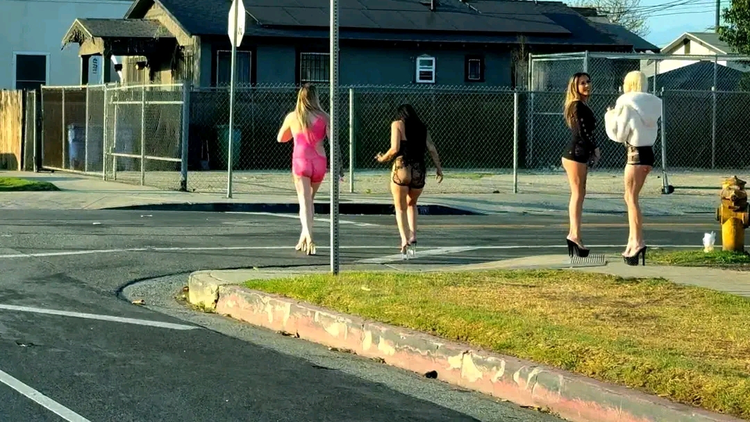 amateur photo 1758819624250