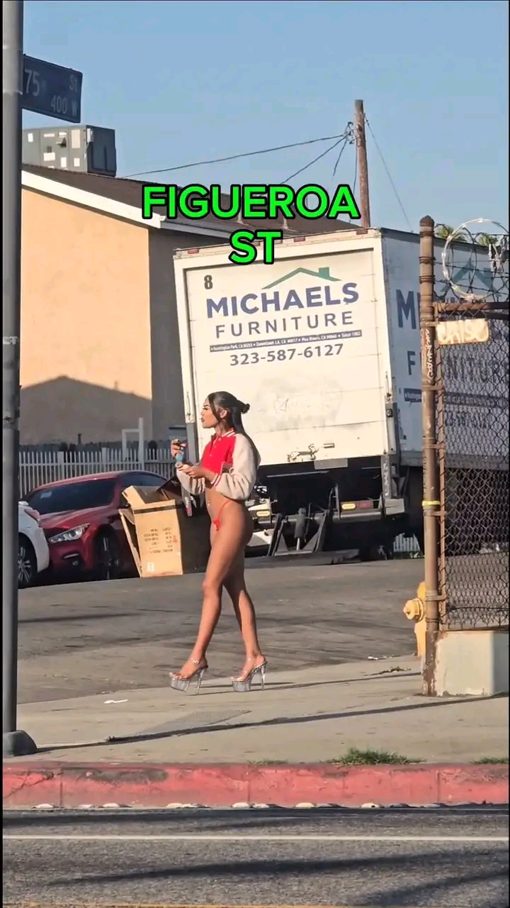 amateur photo 1759458018281