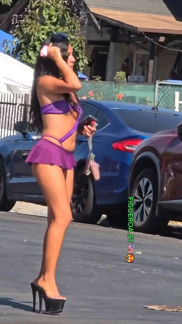 amateur photo 1759755867304