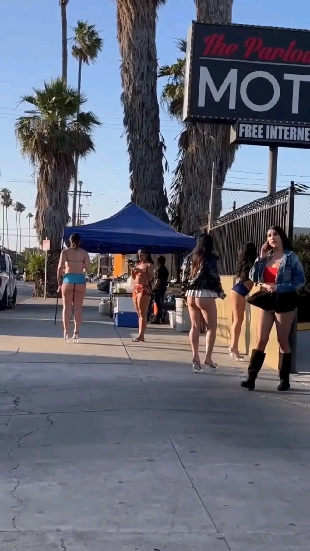 amateur photo 1759848748328