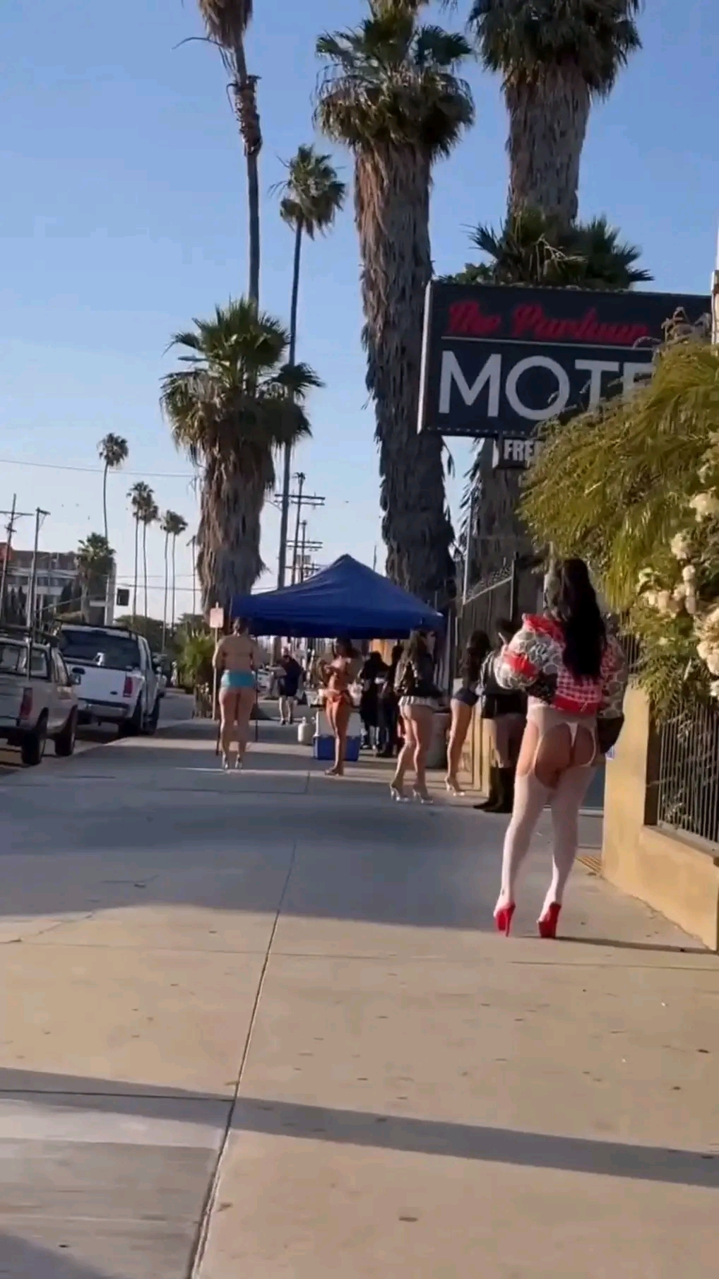 amateur photo 1759848751226