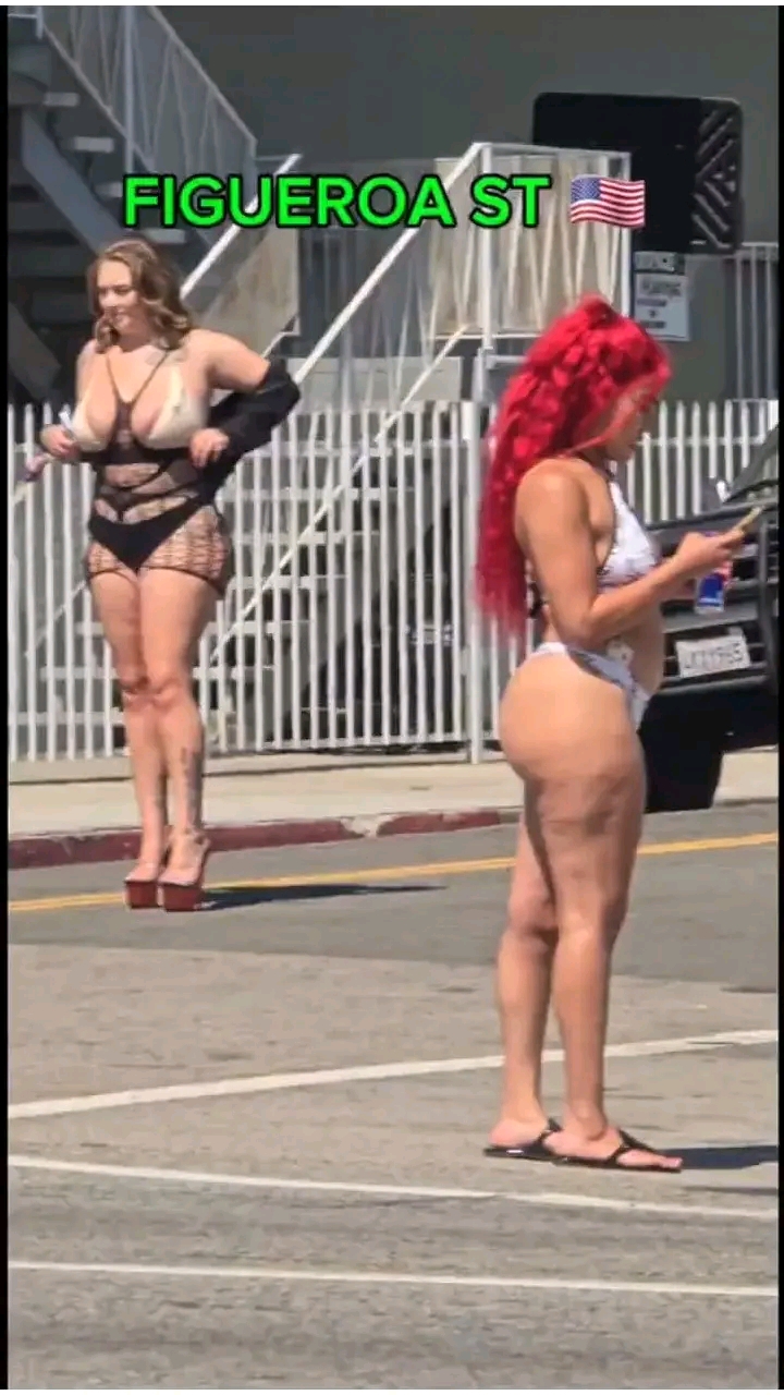 amateur photo 1759932450577