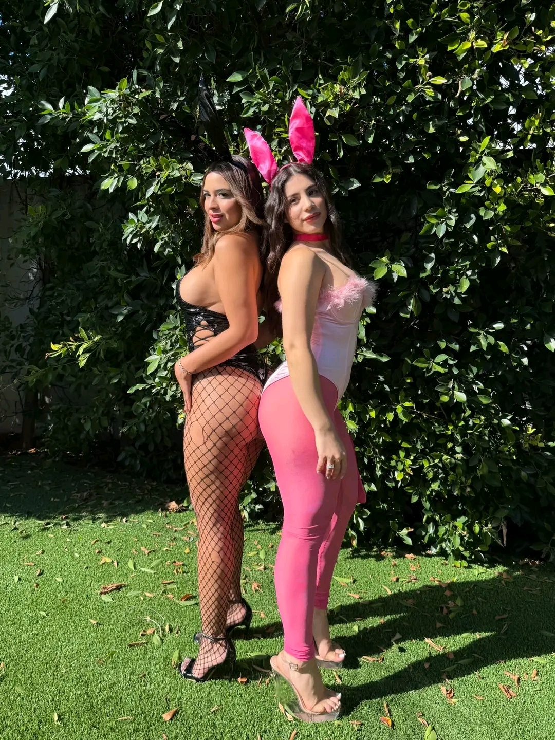 amateur photo 1760543131288