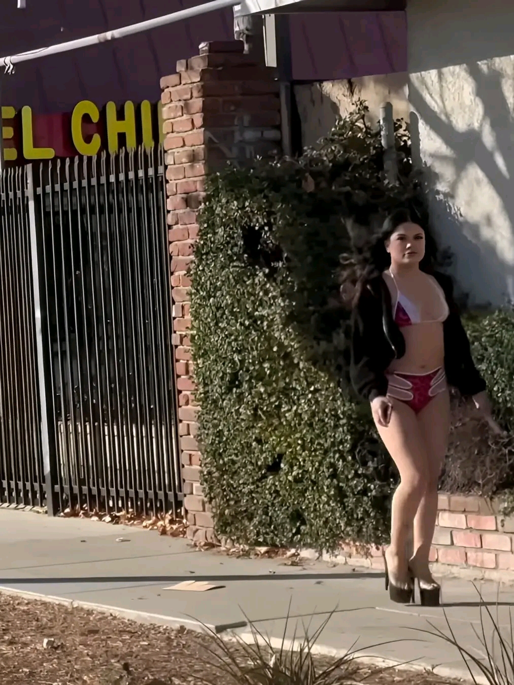 amateur photo 1761638197811