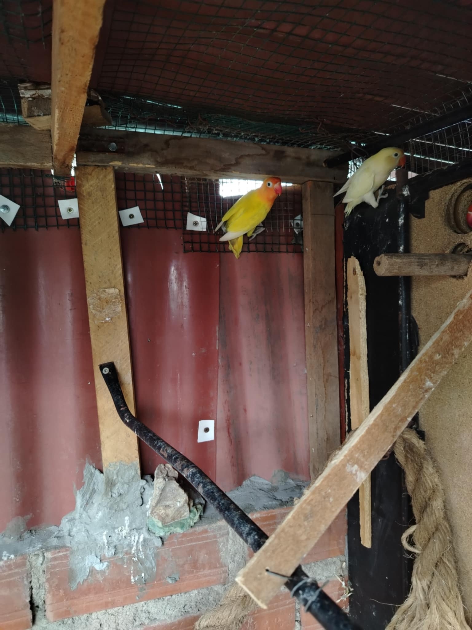 amateur photo 1761789113918