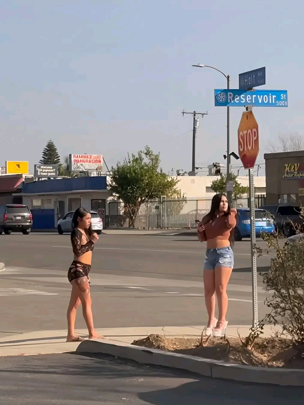 amateur photo 1762082992282