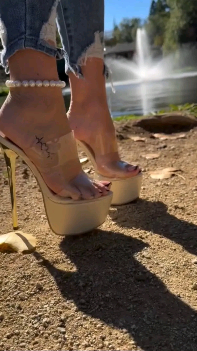 amateur photo 1762091855361