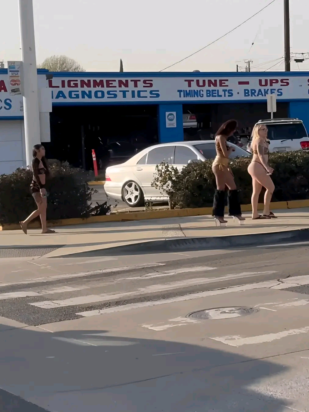 amateur photo 1762221729375