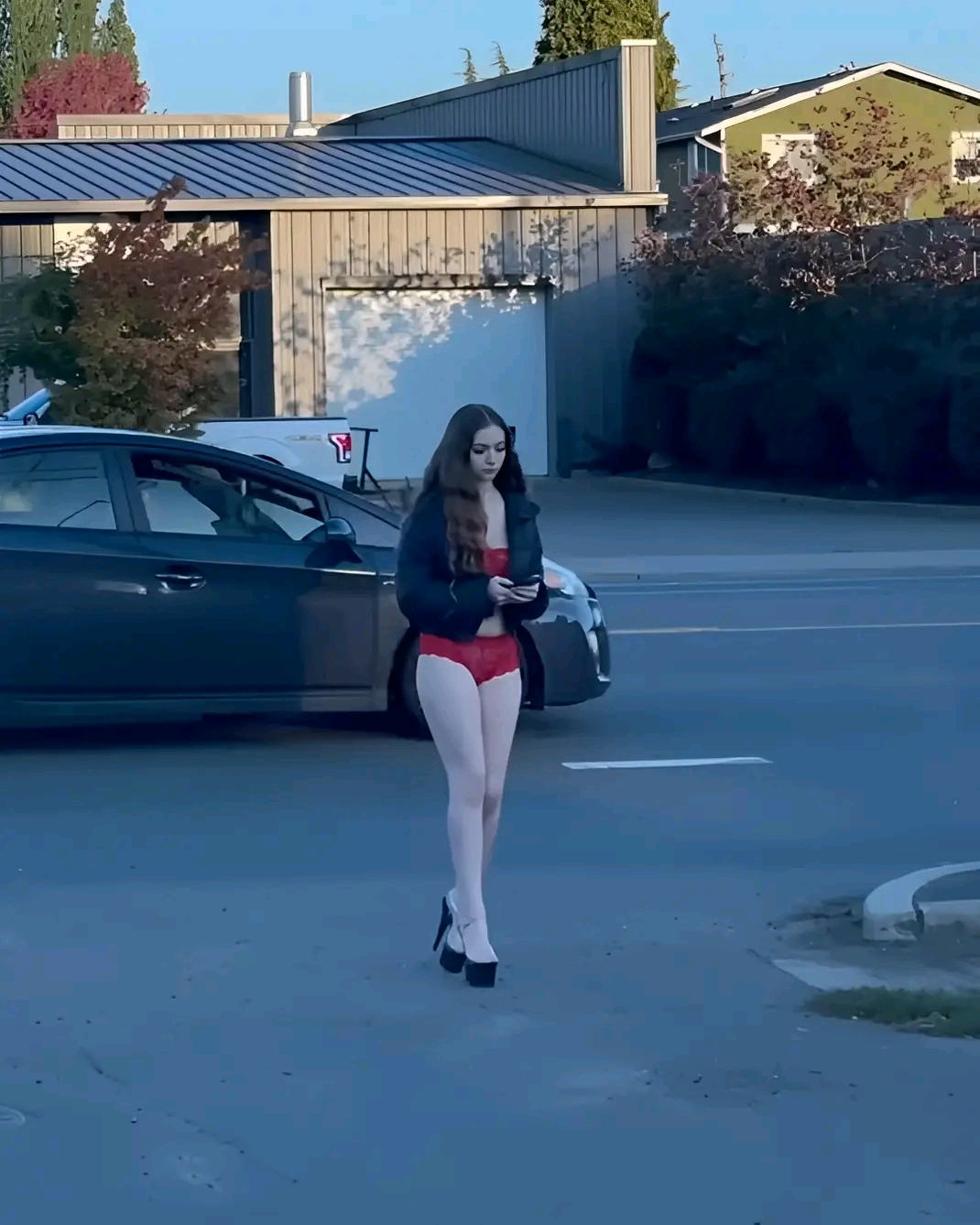 amateur photo 1762221801554