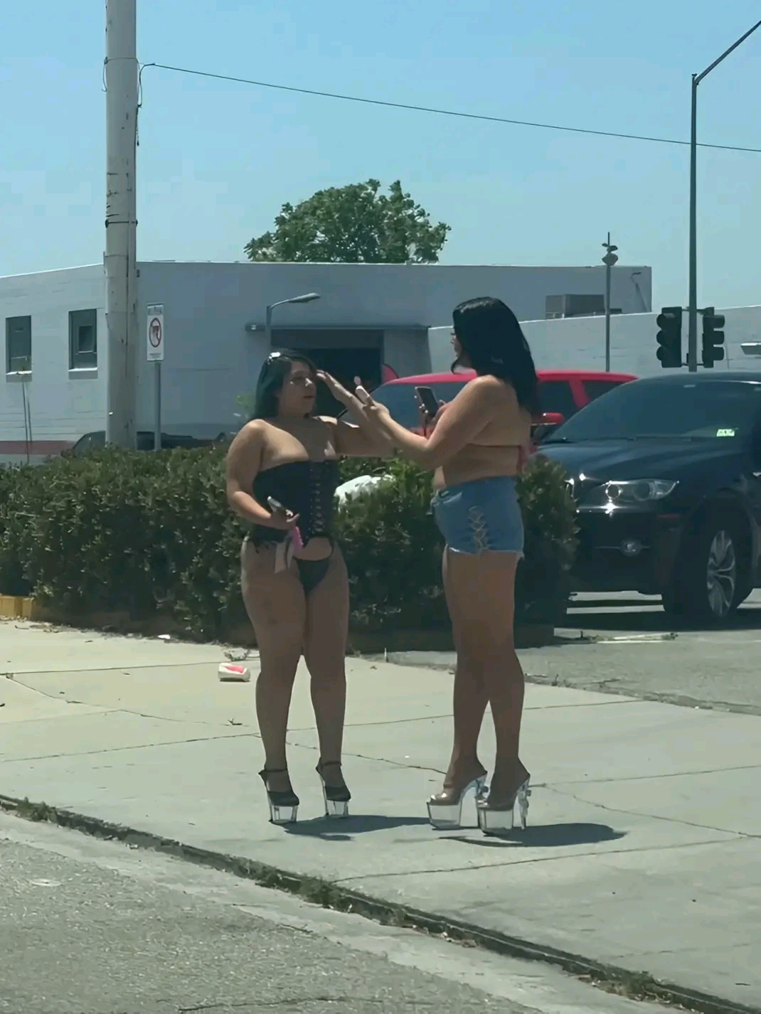 amateur photo 1762221821026