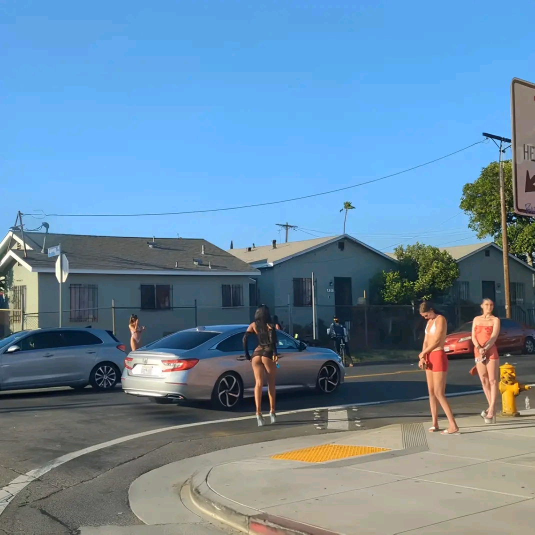 amateur photo 1762221843663