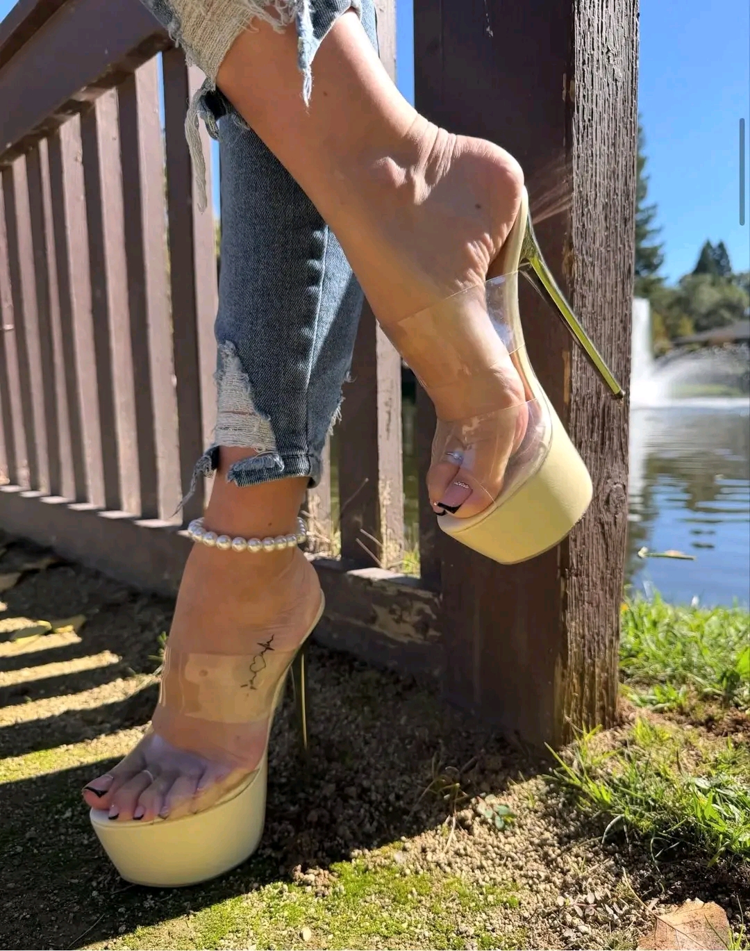 amateur photo 1762305947986