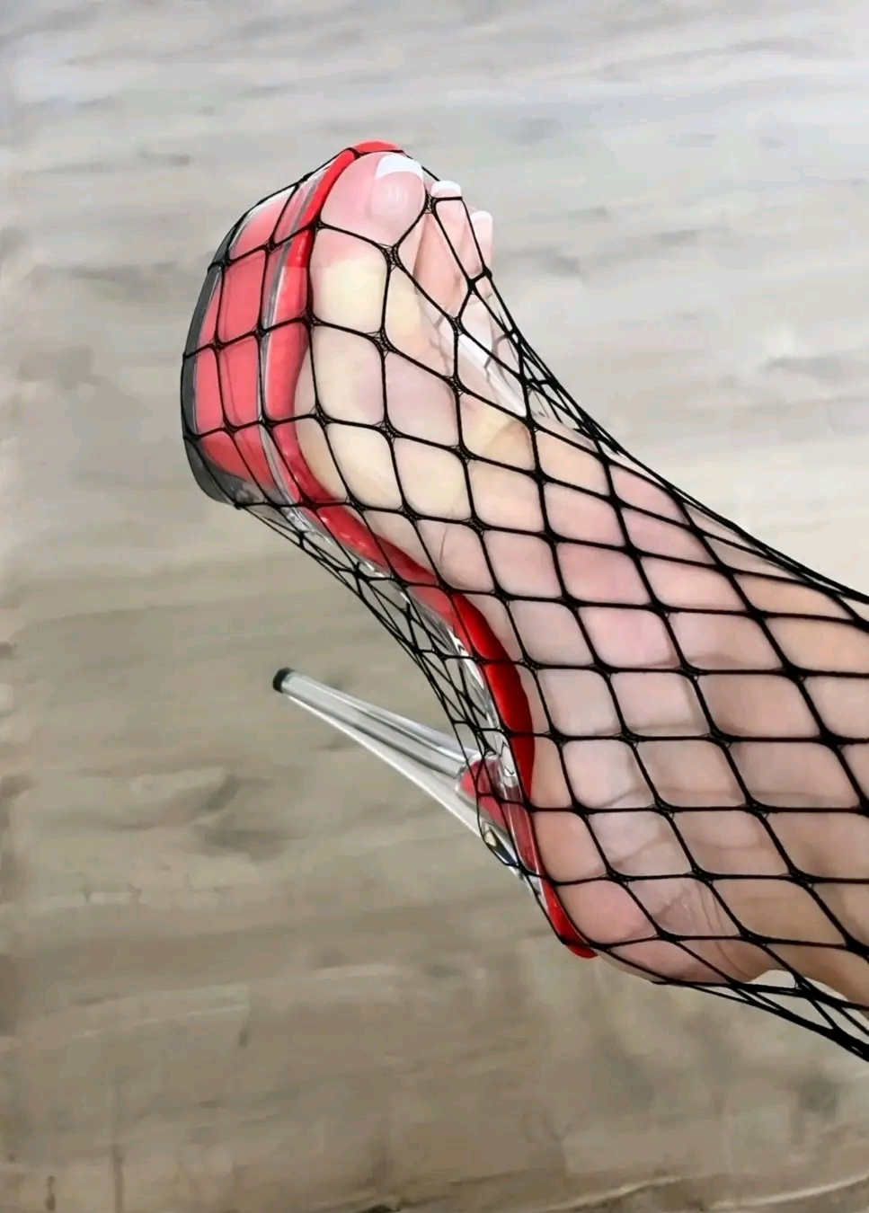 amateur photo 1762313457486