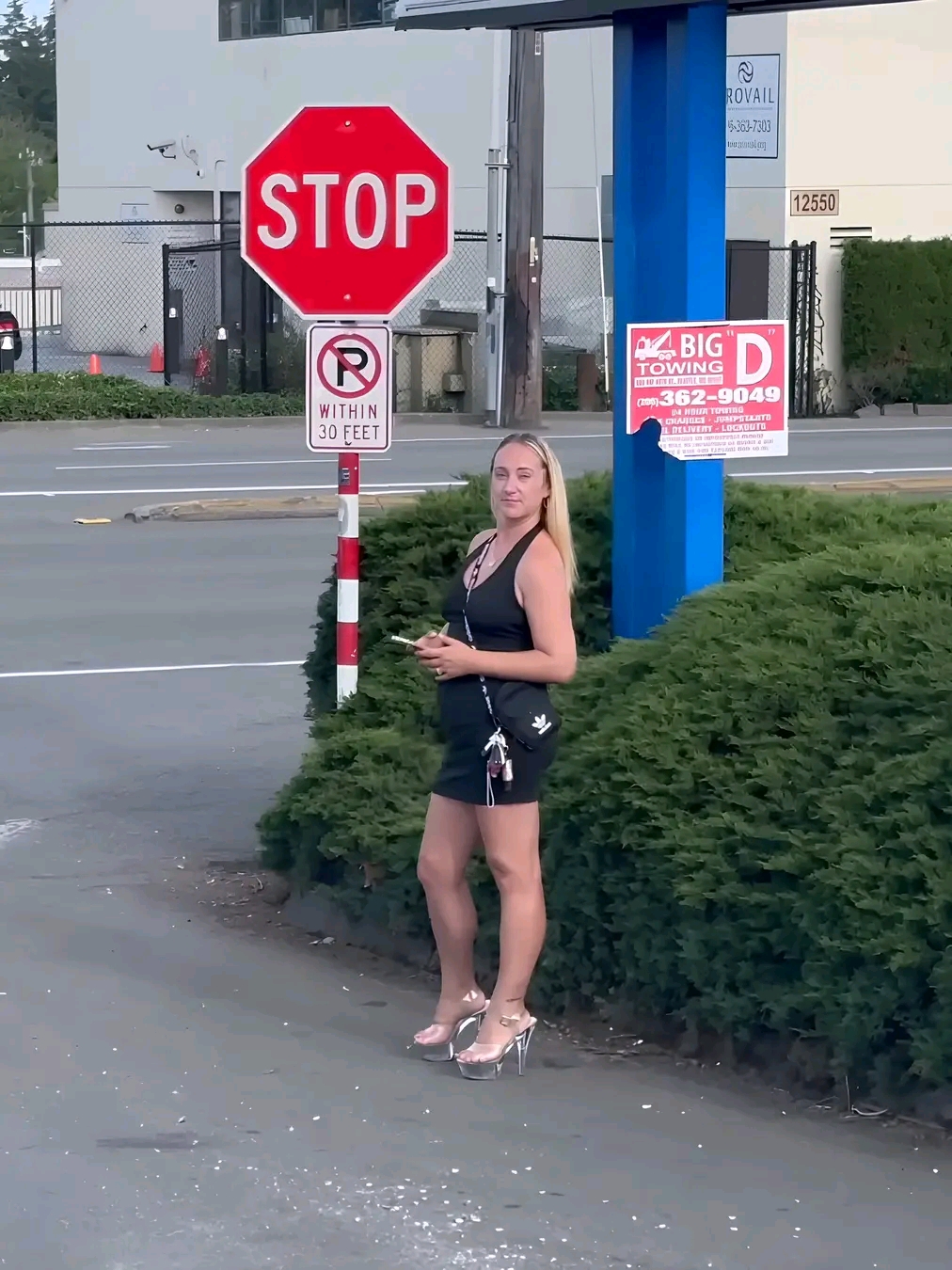 amateur photo 1762454650760