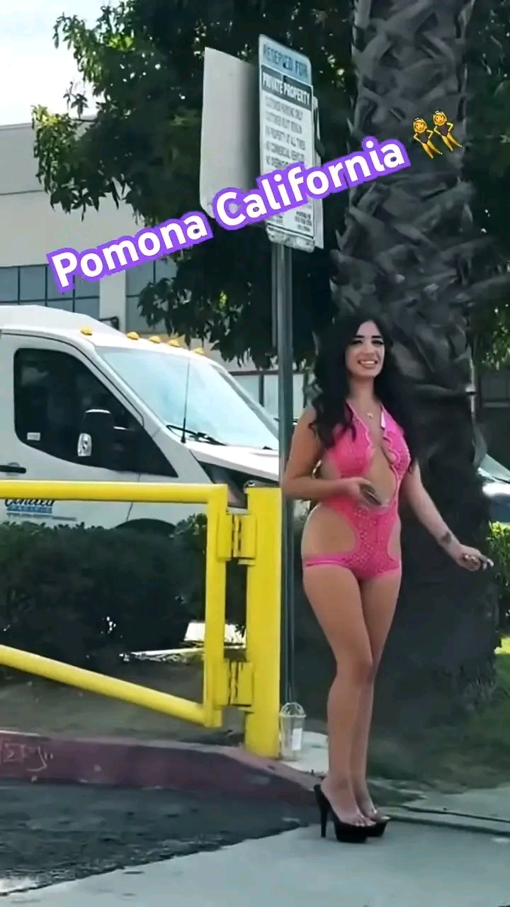 amateur photo 1763063752630