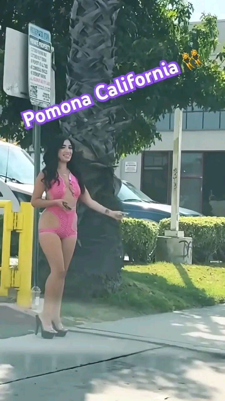 amateur photo 1763063755187