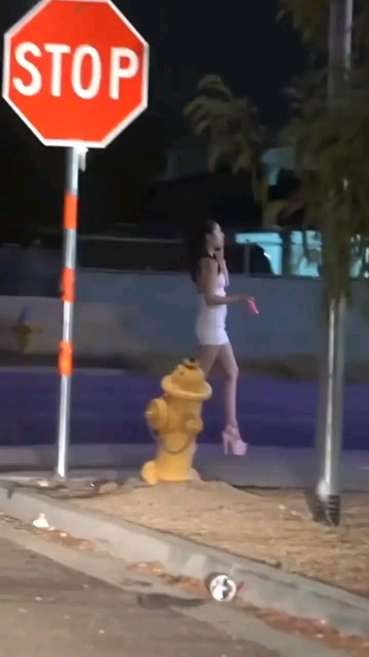 amateur photo 1763064178565