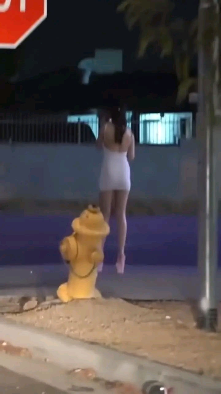 amateur photo 1763064180642