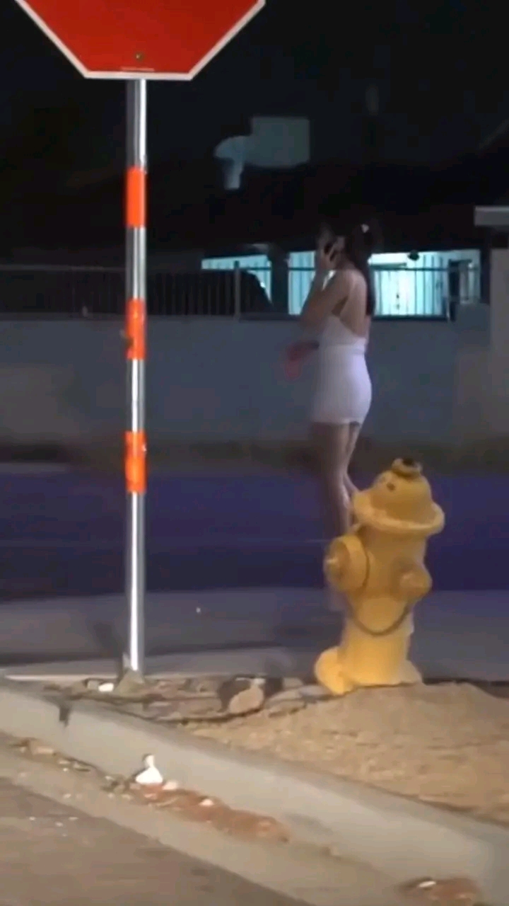 amateur photo 1763064182881