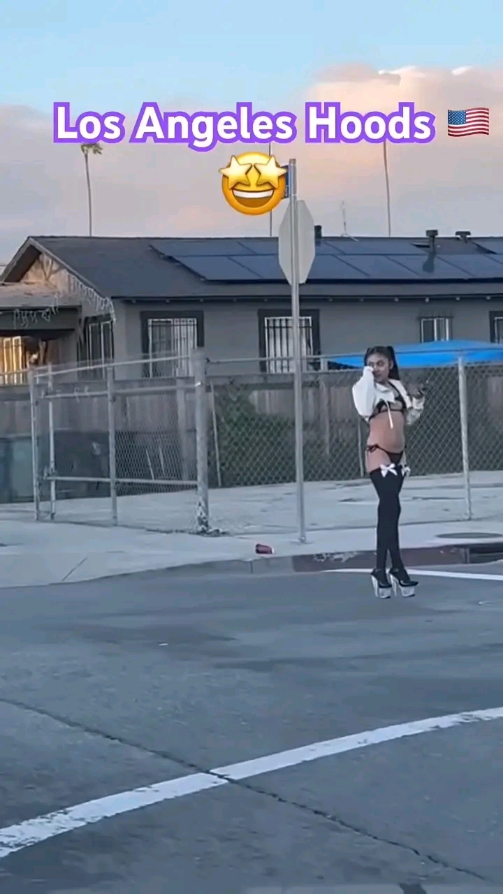 amateur photo 1763064191657