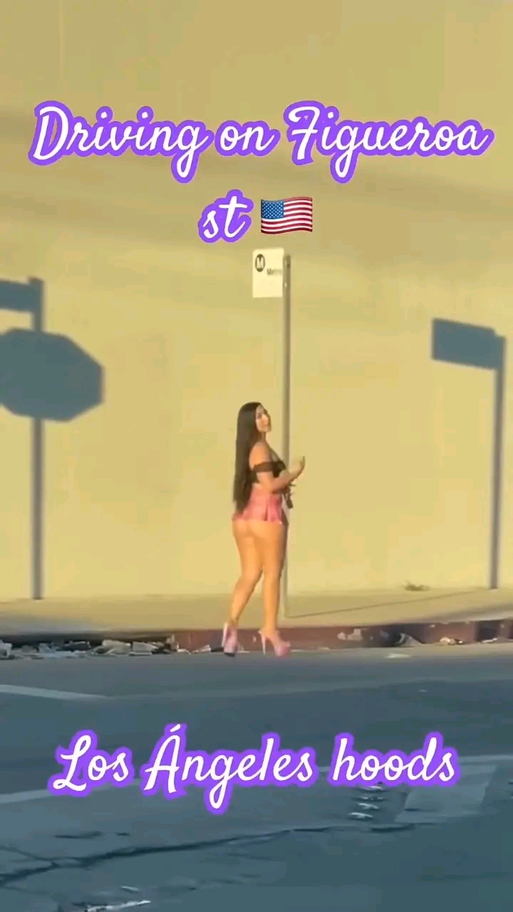 amateur photo 1763064224953